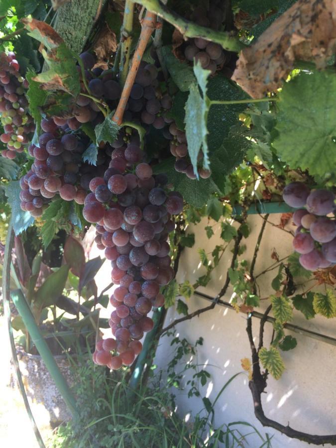 Les Galineaux Villa La Roquille Kültér fotó